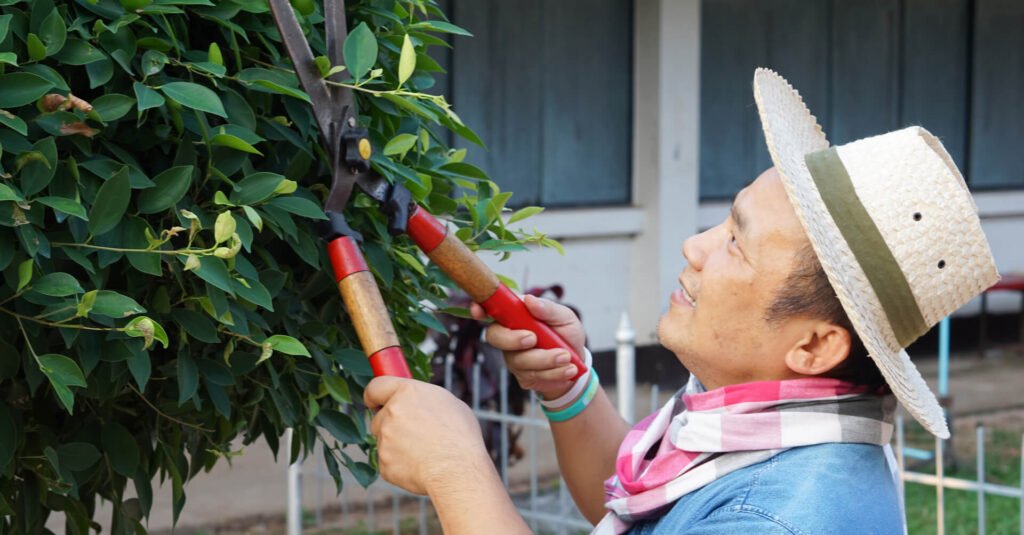 man is using pruning shears