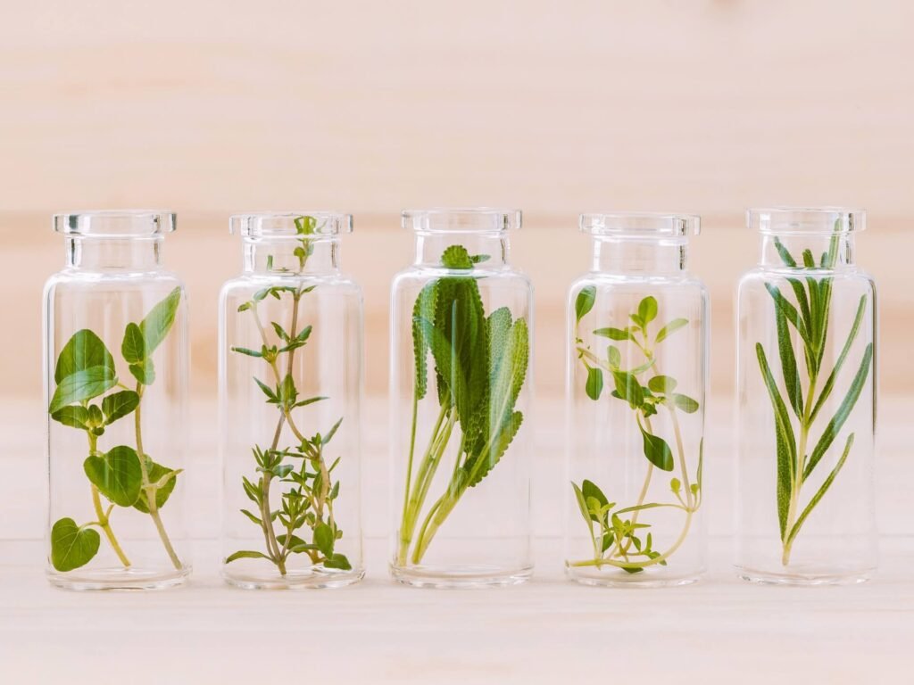 Bottle of herbs lemon thyme ,thyme ,oregano,rosemary andsage