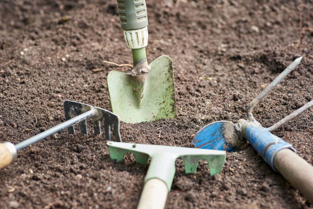 Garden tools in the garden