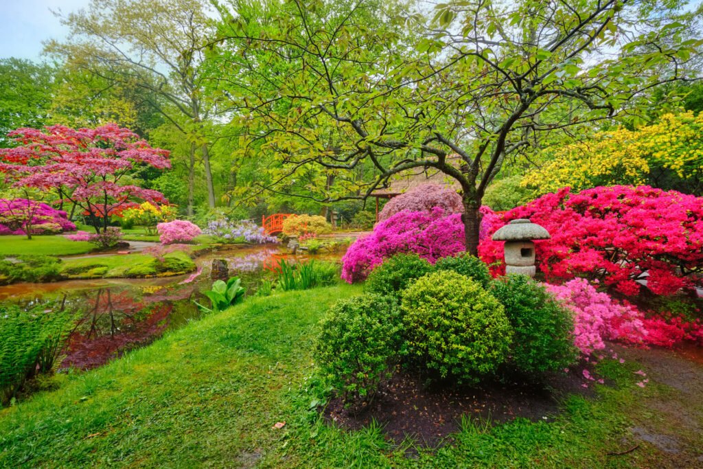 Flowers and shrubs around a tree