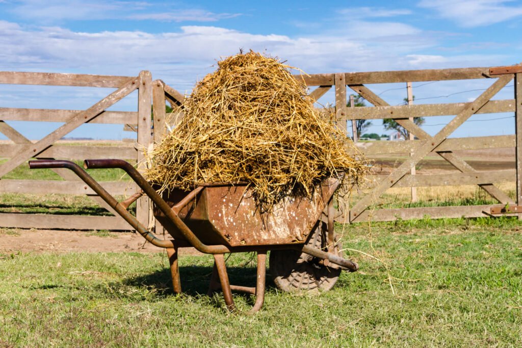 old wheelbarrow loaded with straw