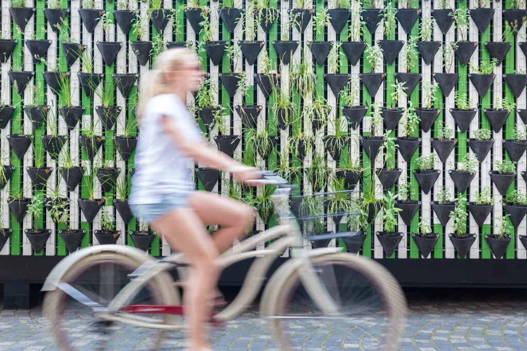 Woman riding bycicle by green urban vertical garden wall