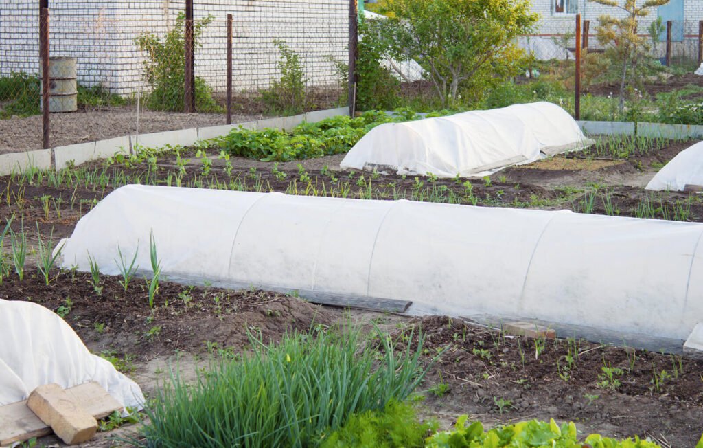 Preparation of the garden before frost